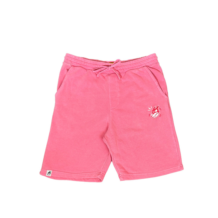 Multi-Color Logo Shorts